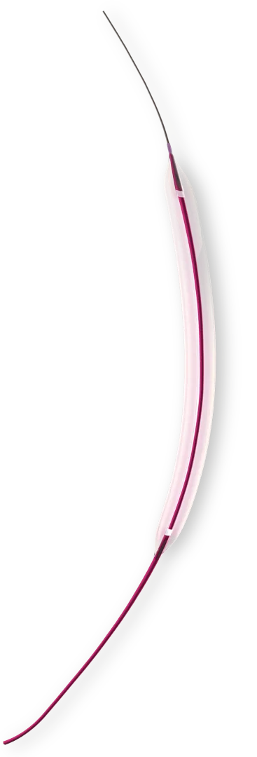 NC RAMA — High-pressure (non-compliant) coronary balloon catheter with hydrophilic coating