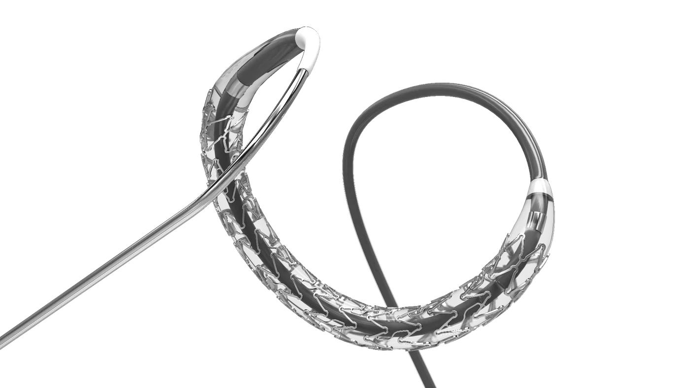 R-Stent — Стент коронарный с лекарственным покрытием Сиролимус